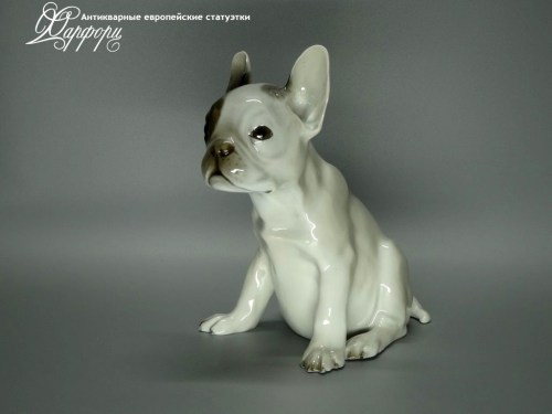 Купить фарфоровую статуэтку Rosenthal Щенок французского бульдога